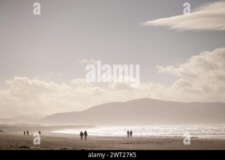 Inch Beach, Irlanda Foto Stock