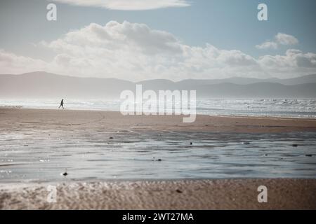 Inch Beach, Irlanda Foto Stock