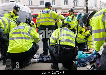 23 novembre 2023. Whitehall, Londra, Regno Unito. Arresti dei manifestanti di Just Stop Oil. I manifestanti sono stati portati fuori strada entro un minuto dal marciapiede. Foto Stock