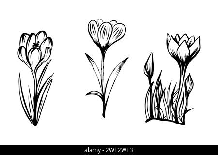 Set di croci in stile schizzo, disegnati a mano isolati su sfondo bianco. Illustrazione Vettoriale