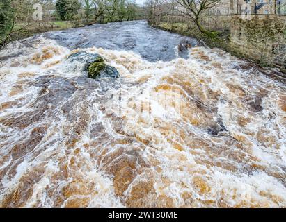 Un fragoroso ruggito d'acqua a Queens Rock sul fiume Ribble, Kingsmill, Settlement North Yorkshire Foto Stock