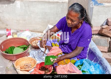 Sri Lanka, Colombo, Areca nut (Betel nut) preparazione in foglie di betel Foto Stock