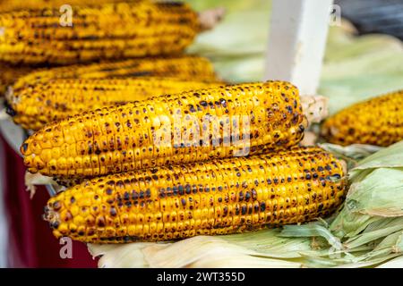 Mais dolce appena bollito o grigliato sulla pannocchia cosparso di sale e spezie. Foto Stock