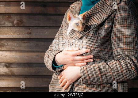 Ritratto dei gatti. Gatto Devon Rex obbediente con pelliccia bianca arancione brillante che sbuca dal cappotto sotto i proprietari. Fantastici animali domestici felici. Curioso giocoso divertente Foto Stock