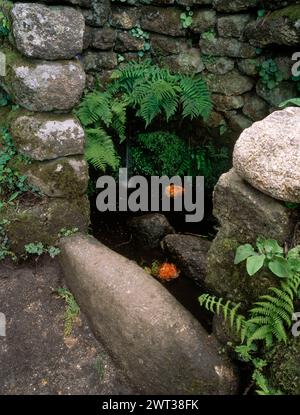 Primo piano del pozzo all'angolo tra Battistero, Madron, Penzance, West Penwith, Cornovaglia Foto Stock