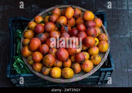 Un grande cesto colorato di cachi rossi, gialli e arancioni appena raccolti, interi e maturi in un mercato all'aperto in Vietnam. Foto Stock