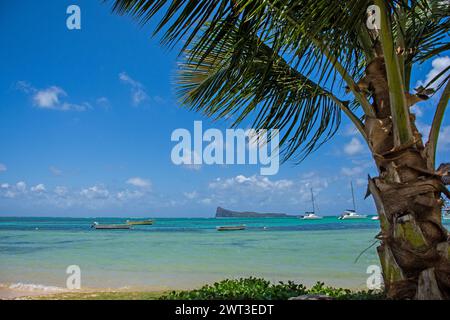 Spiaggia di Bain Boeuf, Mauritius Foto Stock