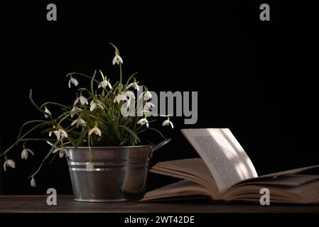 Fiori di neve bianca (Galanthus nivalis) in una pentola di latta e libro su un vecchio tavolo di legno all'interno Foto Stock