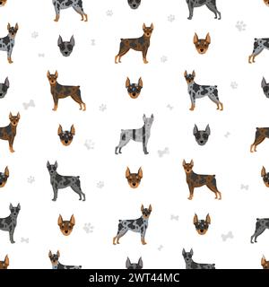 Motivo senza cuciture Harlequin Pinscher. Pose diverse, set di colori per cappotti. Illustrazione vettoriale Illustrazione Vettoriale