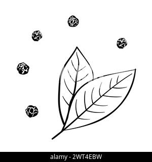 Set di foglie di alloro e peperoni neri. su sfondo bianco. stilizzazione del disegno vettoriale dello schizzo doodle, illustrazione Illustrazione Vettoriale