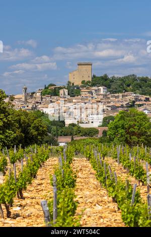 Vigneto tipico con pietre vicino Chateauneuf-du-Pape, Cotes du Rhone, Francia Foto Stock