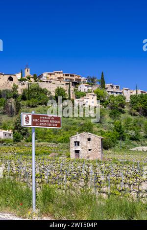 Tipico vigneto con strada del vino (Route Touristique des Cotes du Rhone) vicino a Faucon, Cotes du Rhone, Francia Foto Stock