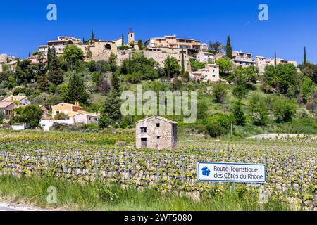 Tipico vigneto con strada del vino (Route Touristique des Cotes du Rhone) vicino a Faucon, Cotes du Rhone, Francia Foto Stock