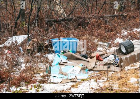 Rifiuti nella foresta. Materiale per la ristrutturazione dei rifiuti domestici scaricato nella foresta in autunno mattina Foto Stock