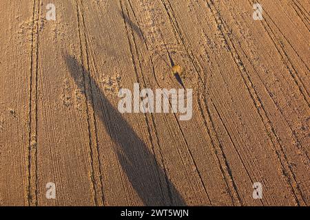 Aerea di campi di grano poco prima del raccolto vicino a Wallumbilla sulla Maranoa Queensland Australia Foto Stock