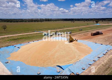 Aerea del bunker di grano di ripieno a Wallumbilla sul Maranoa Queensland Australia Foto Stock