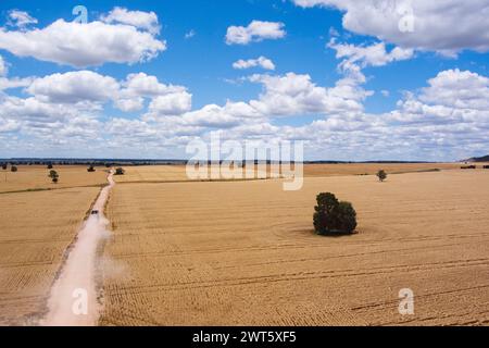 Antenna di strada rurale che passa attraverso campi di grano vicino a Wallumbilla sulla Maranoa Queensland Australia Foto Stock