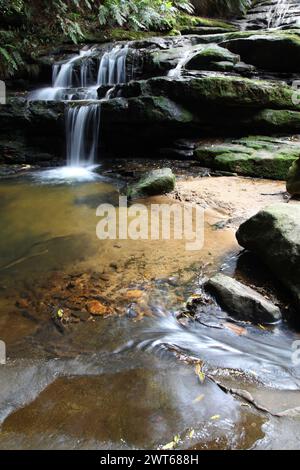 Il Leura Cascades si trova nelle Blue Mountains, una famosa destinazione turistica ad ovest di Sydney. Questa serie di cascate è facilmente accessibile da Leura ON Foto Stock