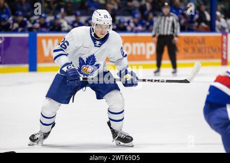 15 marzo 2024: L'attaccante dei Toronto Marlies Nick Abruzzese (26) pattina nel primo periodo contro i Rochester Americans. I Rochester Americans ospitarono i Toronto Marlies in una partita della American Hockey League alla Blue Cross Arena di Rochester, New York. (Jonathan tenca/CSM) crediti: Cal Sport Media/Alamy Live News Foto Stock