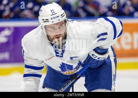 15 marzo 2024: L'attaccante dei Toronto Marlies Logan Shaw (11) pattina nel terzo periodo contro i Rochester Americans. I Rochester Americans ospitarono i Toronto Marlies in una partita della American Hockey League alla Blue Cross Arena di Rochester, New York. (Jonathan tenca/CSM) crediti: Cal Sport Media/Alamy Live News Foto Stock