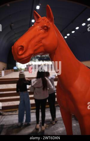 Parigi, Francia. 15 marzo 2024. Illustrazione, durante l'evento equestre Saut-Hermès FEI CSI 5 il 15 marzo 2024 al Grand Palais Éphémère di Parigi, Francia - foto Christophe Bricot/DPPI Credit: DPPI Media/Alamy Live News Foto Stock