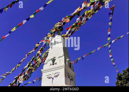 Bandiere di preghiera colorate battono nel vento intorno a uno stupa bianco, la valle di Kathmandu, Kathmandu, Nepal Foto Stock