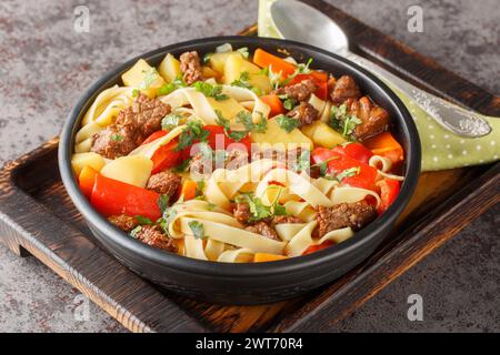 Zuppa asiatica di Lagman con agnello, spaghetti fatti in casa e verdure in primo piano sul piatto sul bordo di legno. Orizzontale Foto Stock