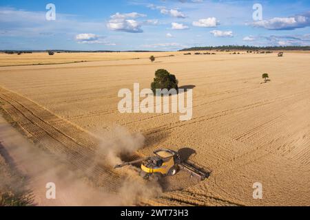 Antenna della mietitrebbiatrice per la raccolta del grano nei pressi di Wallumbilla sul Maranoa Queensland Australia Foto Stock