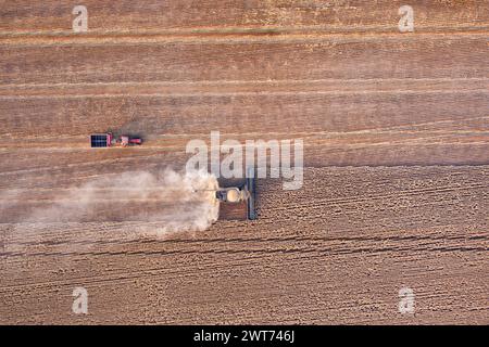 Antenna della mietitrebbiatrice che scarica il grano raccolto su un cassonetto vicino a Wallumbilla sulla Maranoa Queensland Australia Foto Stock