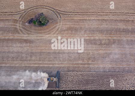 Antenna della mietitrebbiatrice per la raccolta del grano nei pressi di Wallumbilla sul Maranoa Queensland Australia Foto Stock