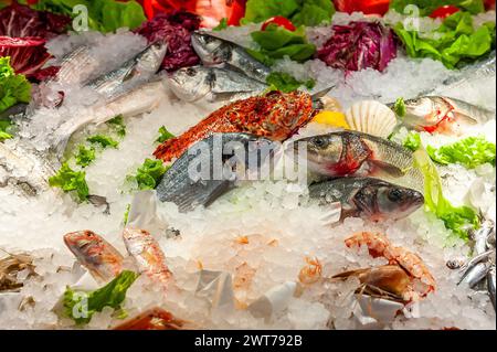 Bancarelle di pesce in un mercato a Venezia in Veneto, Italia Foto Stock