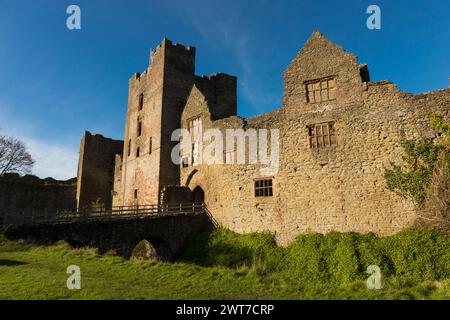 Vista della torre d'ingresso del castello di Ludlow. Shropshire, Inghilterra. Novembre. Foto Stock
