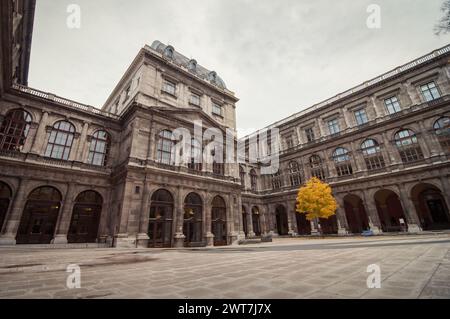 Il cortile dell'edificio principale dell'Università di Vienna. Edificio del tardo XIX secolo in stile rinascimentale italiano. L'albero a foglia dorata solitario da parte. Foto Stock
