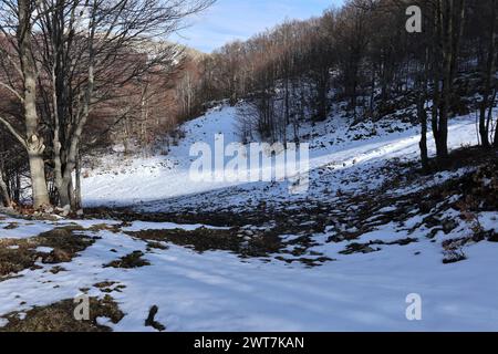 Campitello Matese - Scorcio della pista Capo d'acqua Foto Stock