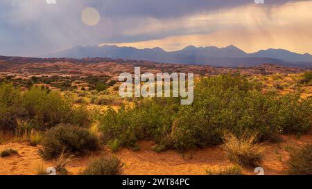 Un paesaggio desertico con alcuni cespugli e montagne sullo sfondo. Il cielo è nuvoloso e il sole splende attraverso le nuvole anche se la pioggia lo è Foto Stock