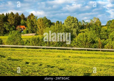 Zona rurale e prato appena tagliato alla luce della sera, Svevia Alb, Münsingen, Baden-Württemberg, Germania. Foto Stock