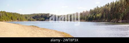 Vista panoramica con alberi di lago e sabbia costiera Foto Stock