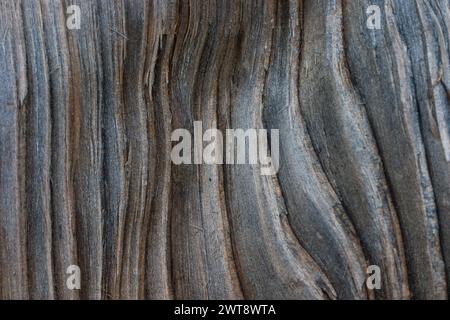 Un'immagine di sfondo naturale multistrato che presenta una combinazione armoniosa di forme e crea uno sfondo visivo eccezionale. Foto Stock