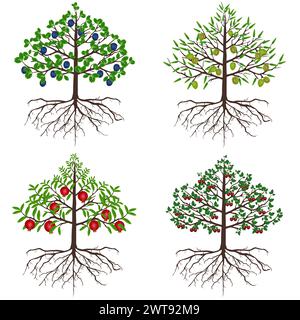 Set di alberi da frutto su sfondo bianco. Illustrazione Vettoriale
