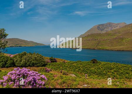 Area naturale protetta dell'Irlanda occidentale caratterizzata da suggestive montagne (catena montuosa delle dodici Cime), distese di torbiere, praterie Foto Stock