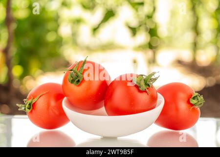 Diversi pomodori ciliegini maturi con piatto in ceramica bianca, macro, sullo sfondo del giardino Foto Stock