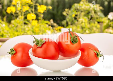 Diversi pomodori ciliegini maturi con piatto in ceramica bianca, macro, sullo sfondo del giardino Foto Stock