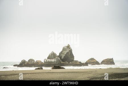 Mattinata Foggy Over Sea Stacks nel Redwood National Park in California Foto Stock