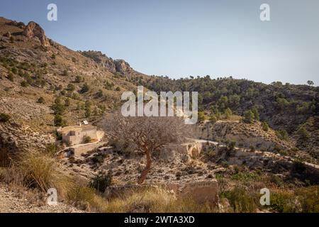 Percorso per il bacino idrico Tibi ad Alicante. Spagna. Foto Stock