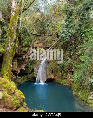 cascata foresta sullo sfondo alberi natura Foto Stock