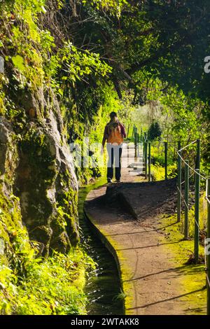 Turista a Levada do Norte sull'isola portoghese di Madeira. Canale di irrigazione di Levada. Escursioni a Madeira. Sentiero stretto vicino alla levada. Verde Foto Stock