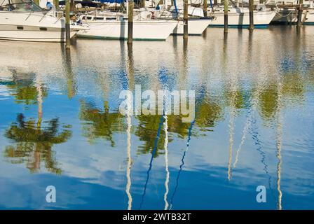 palme riflesse nel fiume Manatee a Bradenton, Florida Foto Stock