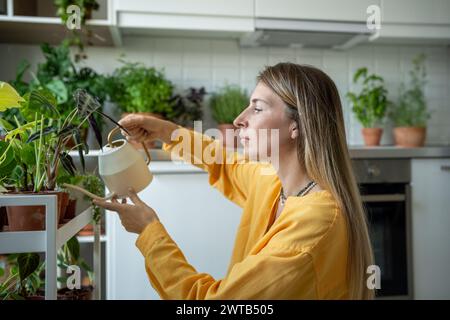 Una giovane donna concentrata annaffia piccole piante da interno Alocasia in vasi di terracotta con lattina per innaffiare metalli Foto Stock