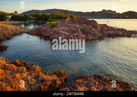 Cap du Dramont, alba, massiccio dell'Esterel, Monti Esterel, Departement Var, regione Provence-Alpes-Costa Azzurra, Francia Foto Stock