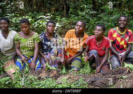 I pigmei del popolo Baka o BaAka giurano di cacciare, di cacciare magia, di cacciare reti, della riserva forestale densa speciale Dzanga-Sangha, di Sangha-Mbaere Foto Stock